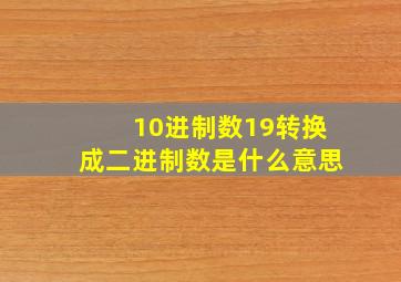 10进制数19转换成二进制数是什么意思