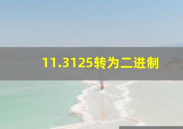 11.3125转为二进制