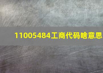 11005484工商代码啥意思