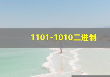 1101-1010二进制