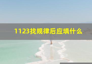 1123找规律后应填什么