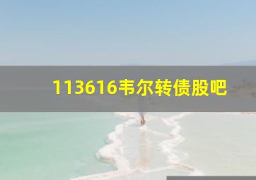 113616韦尔转债股吧