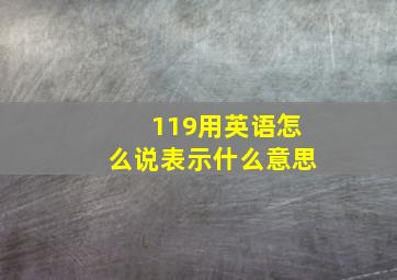 119用英语怎么说表示什么意思