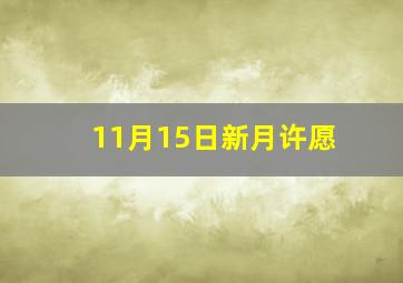 11月15日新月许愿