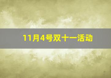 11月4号双十一活动