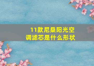 11款尼桑阳光空调滤芯是什么形状