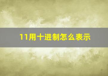 11用十进制怎么表示