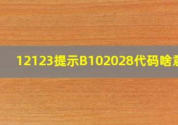 12123提示B102028代码啥意思