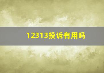 12313投诉有用吗