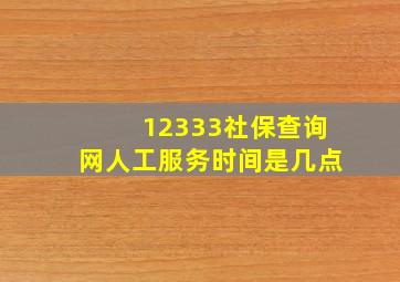 12333社保查询网人工服务时间是几点