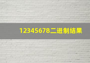 12345678二进制结果