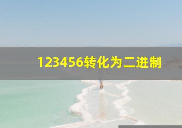 123456转化为二进制