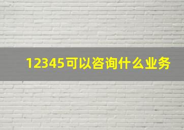 12345可以咨询什么业务