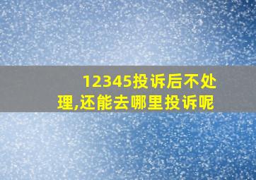 12345投诉后不处理,还能去哪里投诉呢