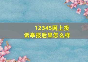 12345网上投诉举报后果怎么样