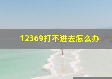 12369打不进去怎么办