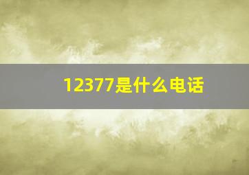 12377是什么电话