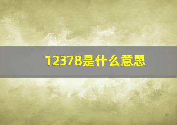 12378是什么意思