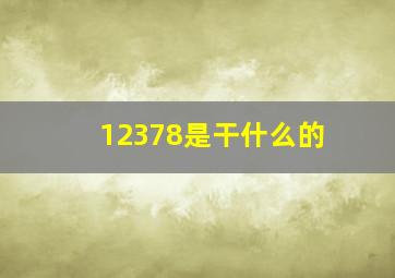 12378是干什么的