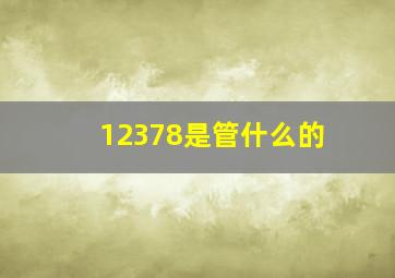 12378是管什么的