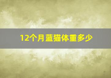 12个月蓝猫体重多少