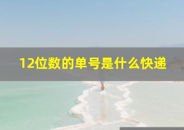 12位数的单号是什么快递