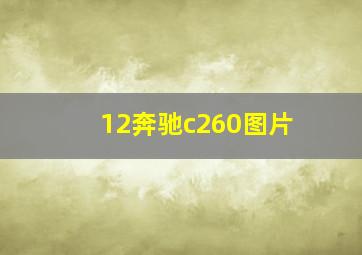 12奔驰c260图片