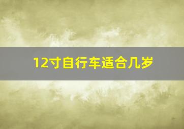 12寸自行车适合几岁