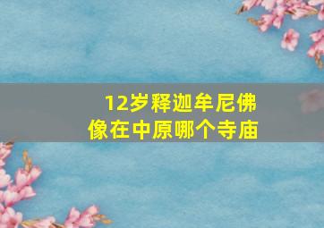 12岁释迦牟尼佛像在中原哪个寺庙