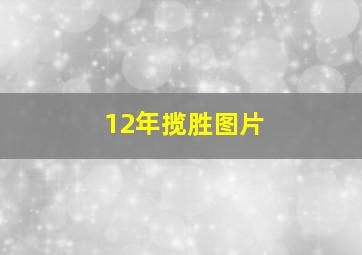 12年揽胜图片