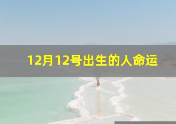 12月12号出生的人命运