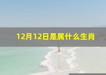 12月12日是属什么生肖