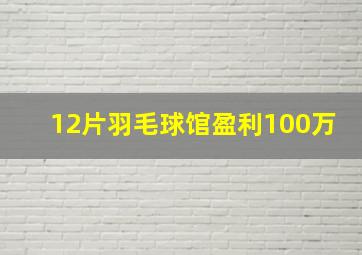 12片羽毛球馆盈利100万