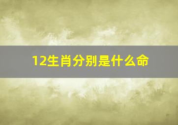 12生肖分别是什么命