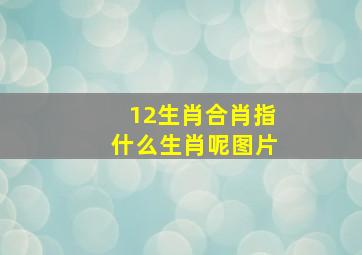 12生肖合肖指什么生肖呢图片