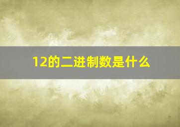 12的二进制数是什么