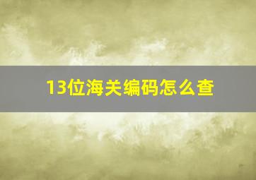 13位海关编码怎么查