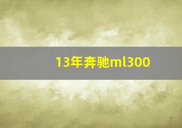 13年奔驰ml300