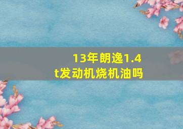 13年朗逸1.4t发动机烧机油吗