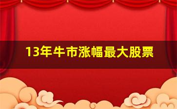 13年牛市涨幅最大股票