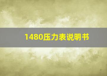 1480压力表说明书