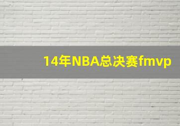 14年NBA总决赛fmvp