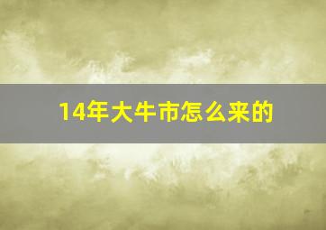 14年大牛市怎么来的