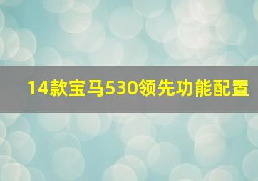 14款宝马530领先功能配置