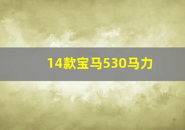 14款宝马530马力