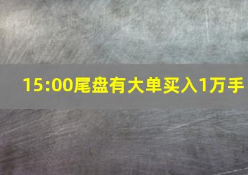 15:00尾盘有大单买入1万手