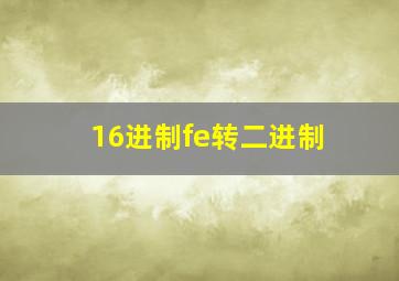 16进制fe转二进制