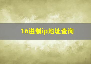 16进制ip地址查询