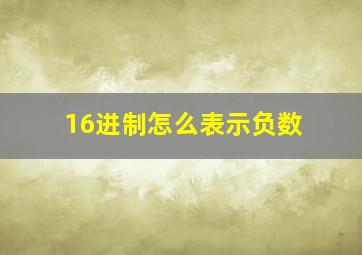 16进制怎么表示负数