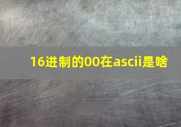 16进制的00在ascii是啥